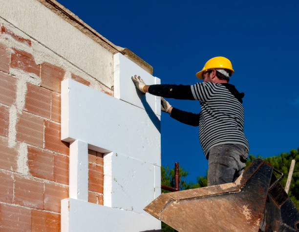 Best Attic Insulation Installation  in Orangeburg, SC
