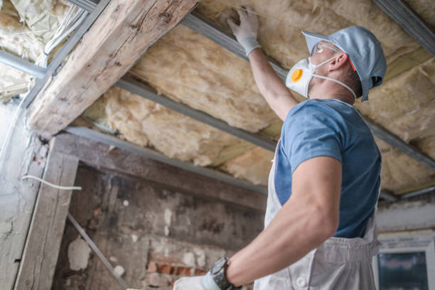 Best Fiberglass Insulation  in Orangeburg, SC
