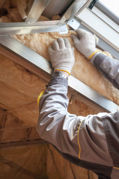 Insulation Repair Services in Orangeburg, SC