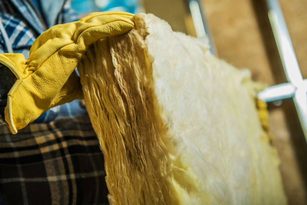Best Local Insulation Services  in Orangeburg, SC