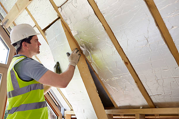 Best Garage Insulation Installation  in Orangeburg, SC